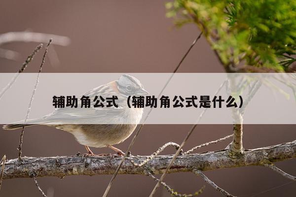 辅助角公式（辅助角公式是什么）