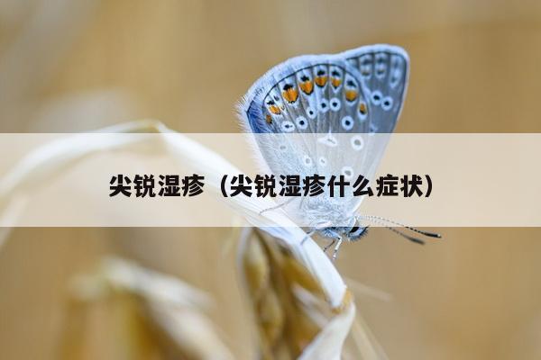 尖锐湿疹（尖锐湿疹什么症状）