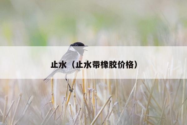 止水（止水带橡胶价格）