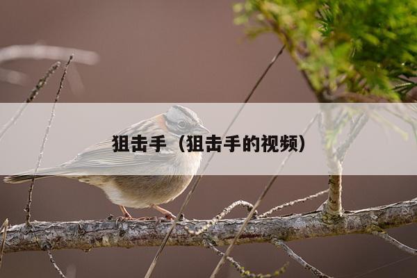 狙击手（狙击手的视频）