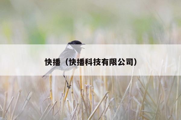 快播（快播科技有限公司）