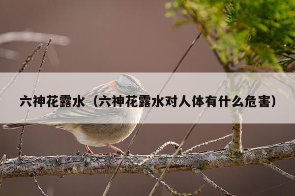 六神花露水（六神花露水对人体有什么危害）