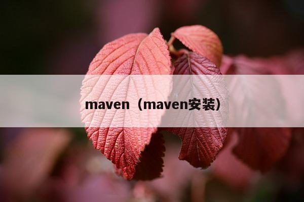 maven（maven安装）