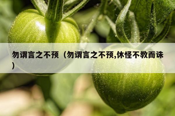 勿谓言之不预（勿谓言之不预,休怪不教而诛）