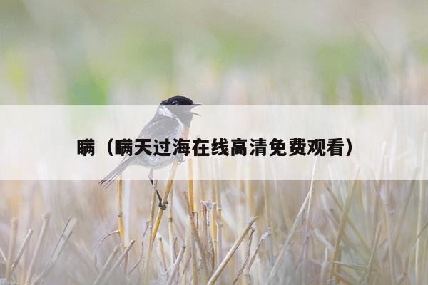 瞒（瞒天过海在线高清免费观看）