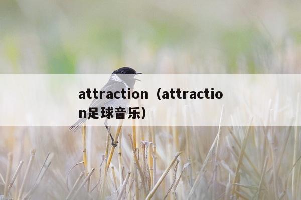 attraction（attraction足球音乐）