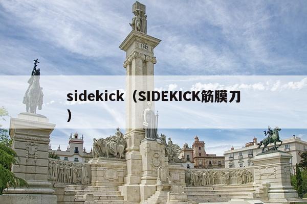 sidekick（SIDEKICK筋膜刀）