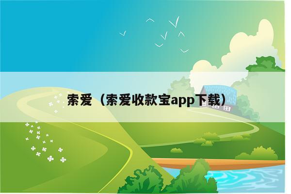 索爱（索爱收款宝app下载）