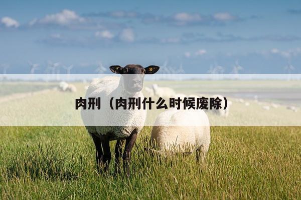 肉刑（肉刑什么时候废除）