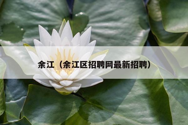 余江（余江区招聘网最新招聘）