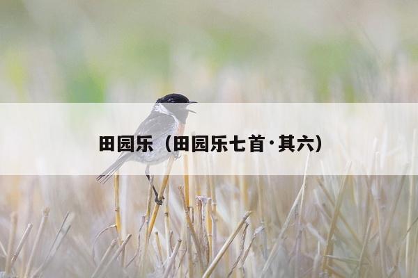 田园乐（田园乐七首·其六）