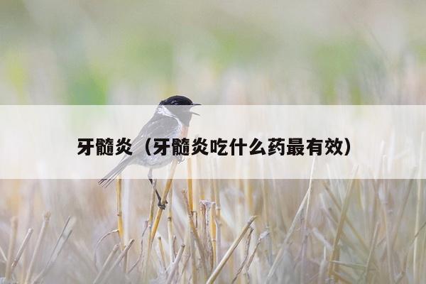 牙髓炎（牙髓炎吃什么药最有效）