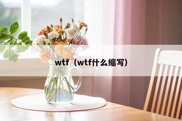 wtf（wtf什么缩写）