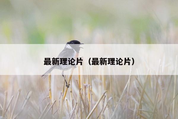 最新理论片（最新理论片）