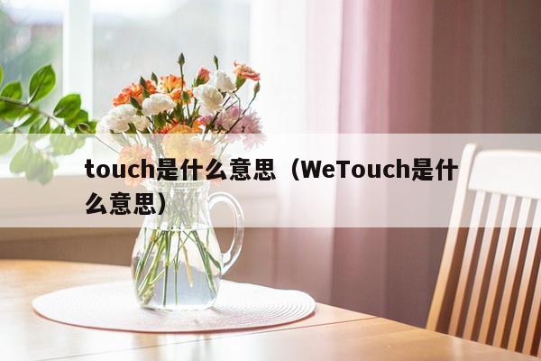 touch是什么意思（WeTouch是什么意思）