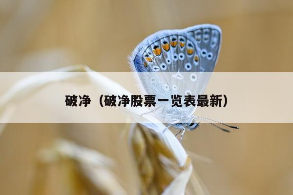 破净（破净股票一览表最新）