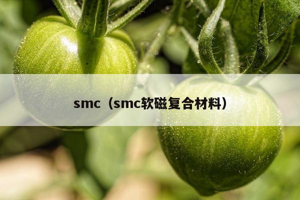 smc（smc软磁复合材料）