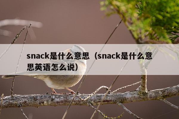 snack是什么意思（snack是什么意思英语怎么说）