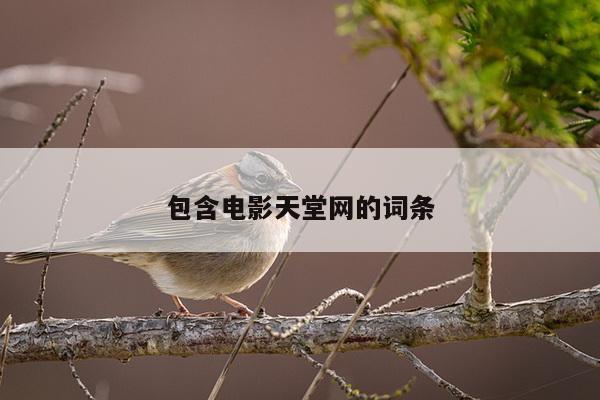 包含电影天堂网的词条