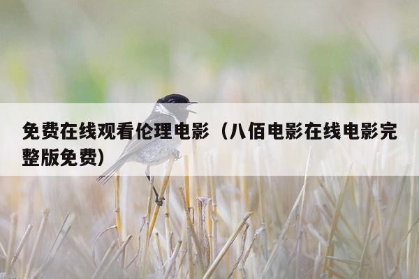 免费在线观看伦理电影（八佰电影在线电影完整版免费）