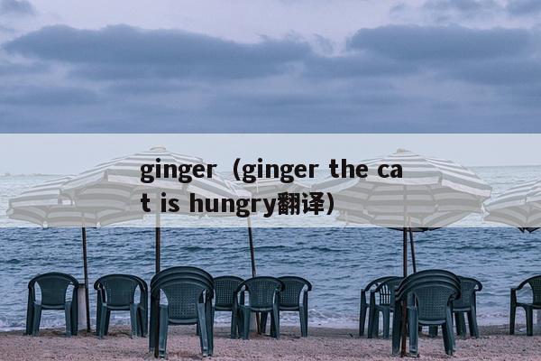 ginger（ginger the cat is hungry翻译）