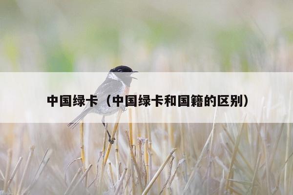 中国绿卡（中国绿卡和国籍的区别）