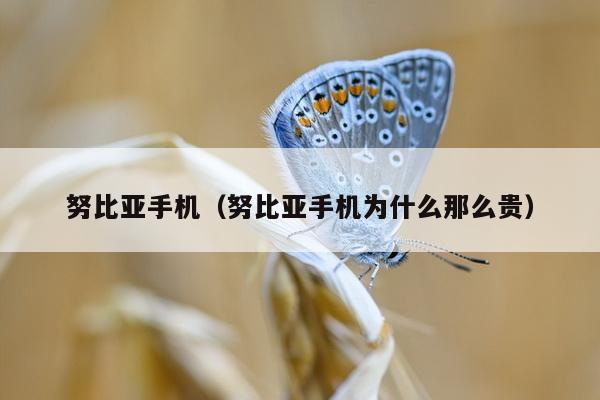 努比亚手机（努比亚手机为什么那么贵）