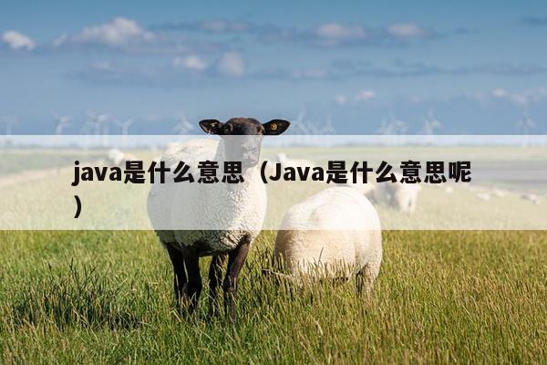 java是什么意思（Java是什么意思呢）